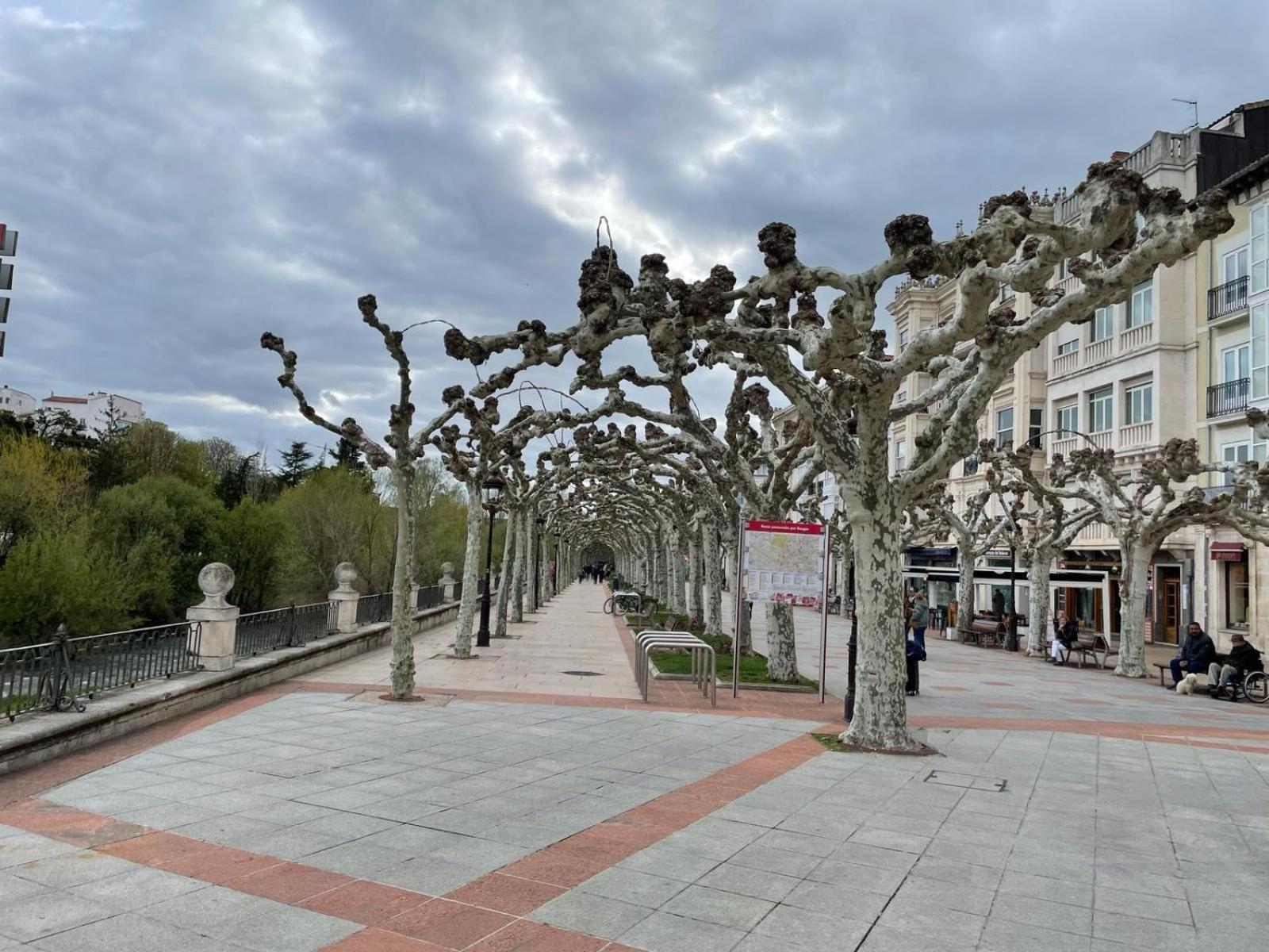 Apartamento El Farolillo De La Catedral Vivienda De Uso Turistico Vut 9/251 Burgo Exterior foto